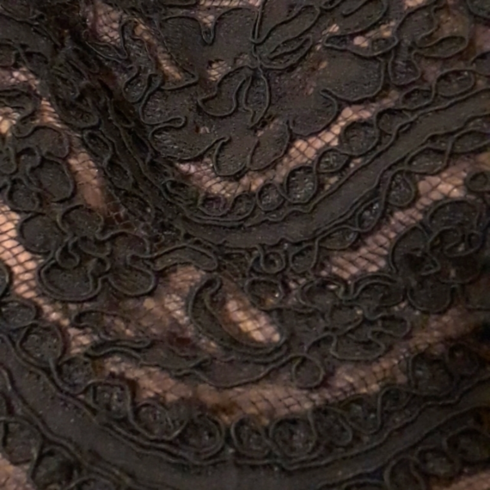 Lillie Rubin lace & chiffon formal dress - Picture 5 of 8